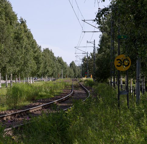 A railway track in a lush envirionment